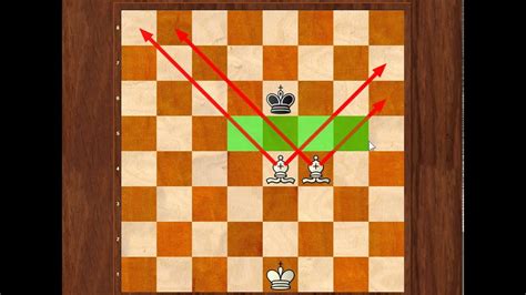 A king and one <b>bishop</b> versus a king cannot create a <b>checkmate</b> on either player. . 2 bishop checkmate